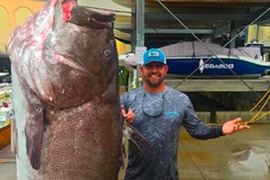 Cá mú 50 tuổi nặng gần 160kg cắn câu ngư dân Mỹ